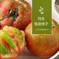 铁皮柿子新鲜现摘产地直发一件代发新鲜水果草莓柿子